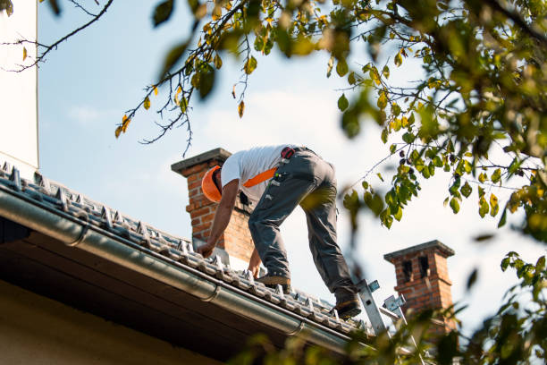 Best EPDM Roofing  in Apex, NC