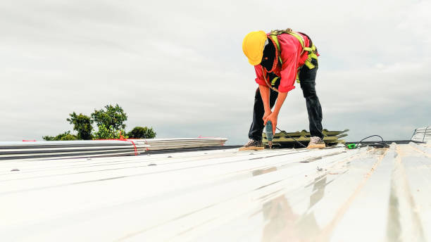 Best Asphalt Shingle Roofing  in Apex, NC