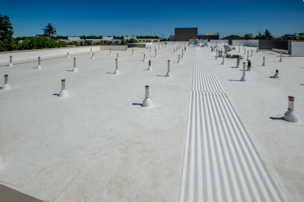 Best Storm Damage Roof Repair  in Apex, NC